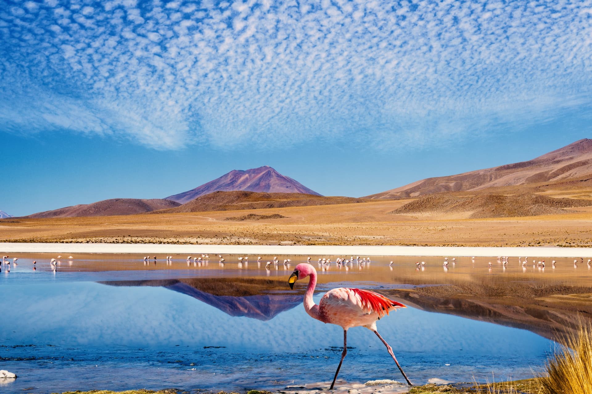 Mejor época para viajar a Bolivia