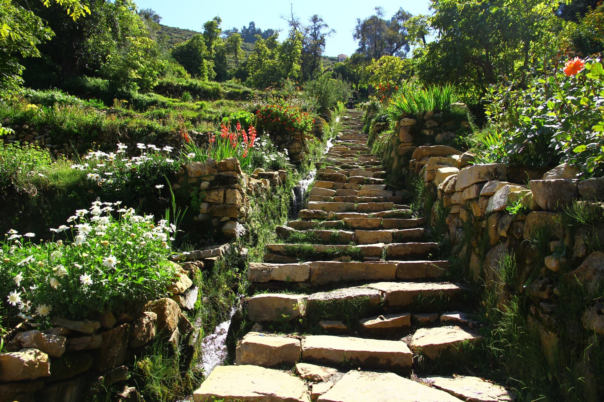 La escalera inca, lago Titicaca